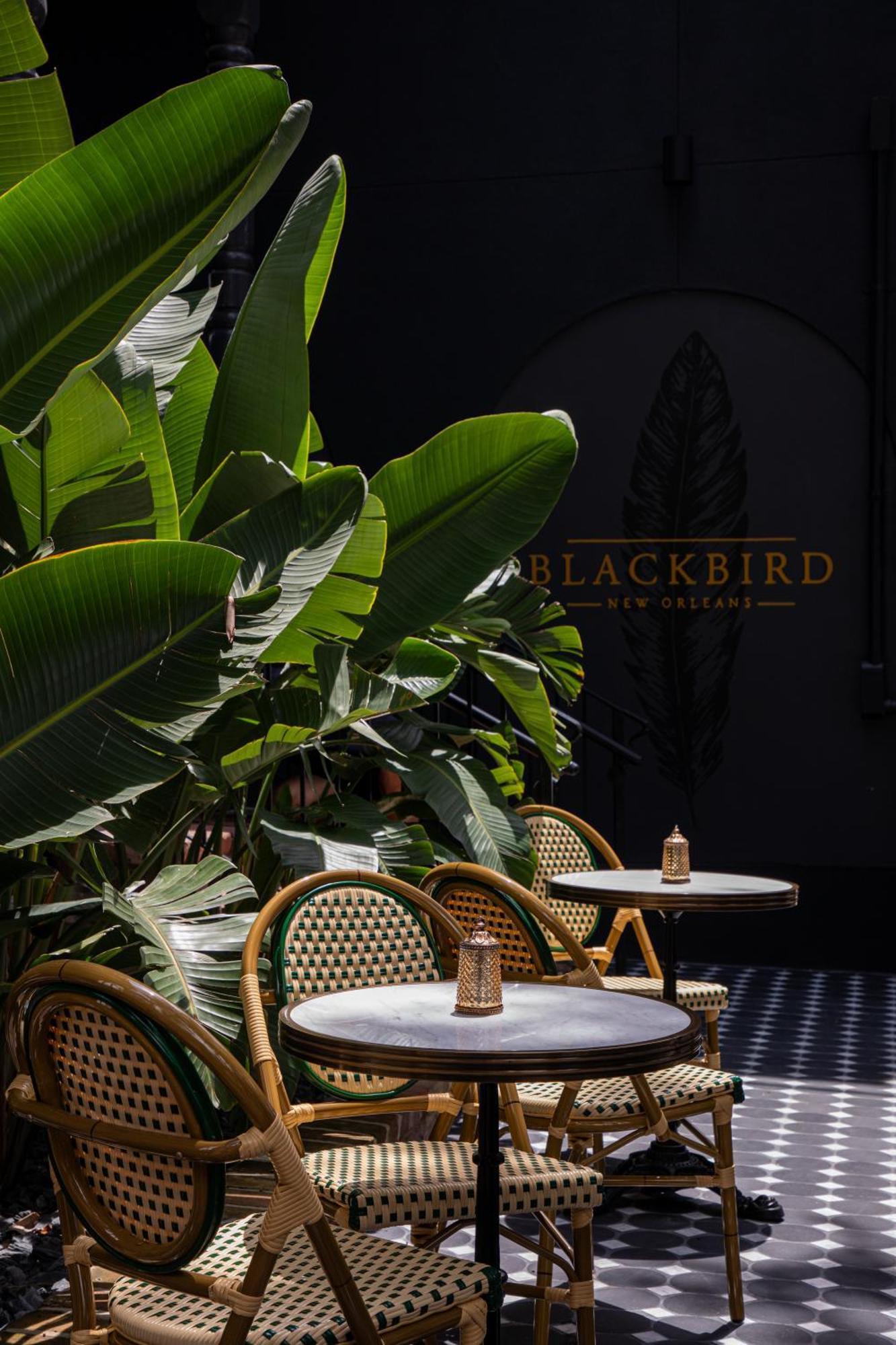 Blackbird Hotel ニューオーリンズ エクステリア 写真