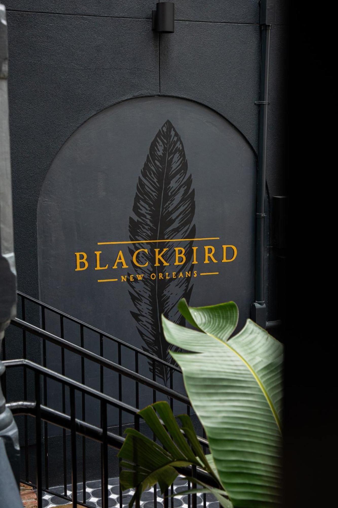 Blackbird Hotel ニューオーリンズ エクステリア 写真