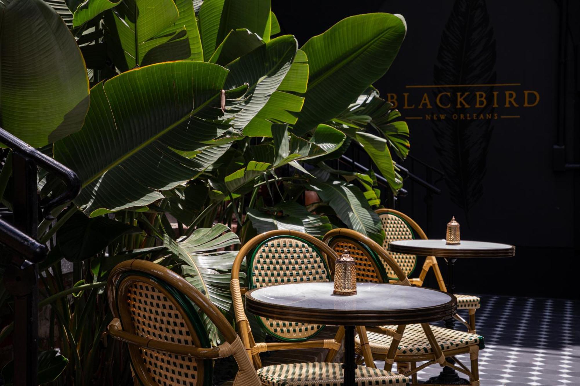 Blackbird Hotel ニューオーリンズ エクステリア 写真